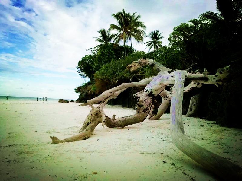 Diani Hostel Diani Beach Ngoại thất bức ảnh