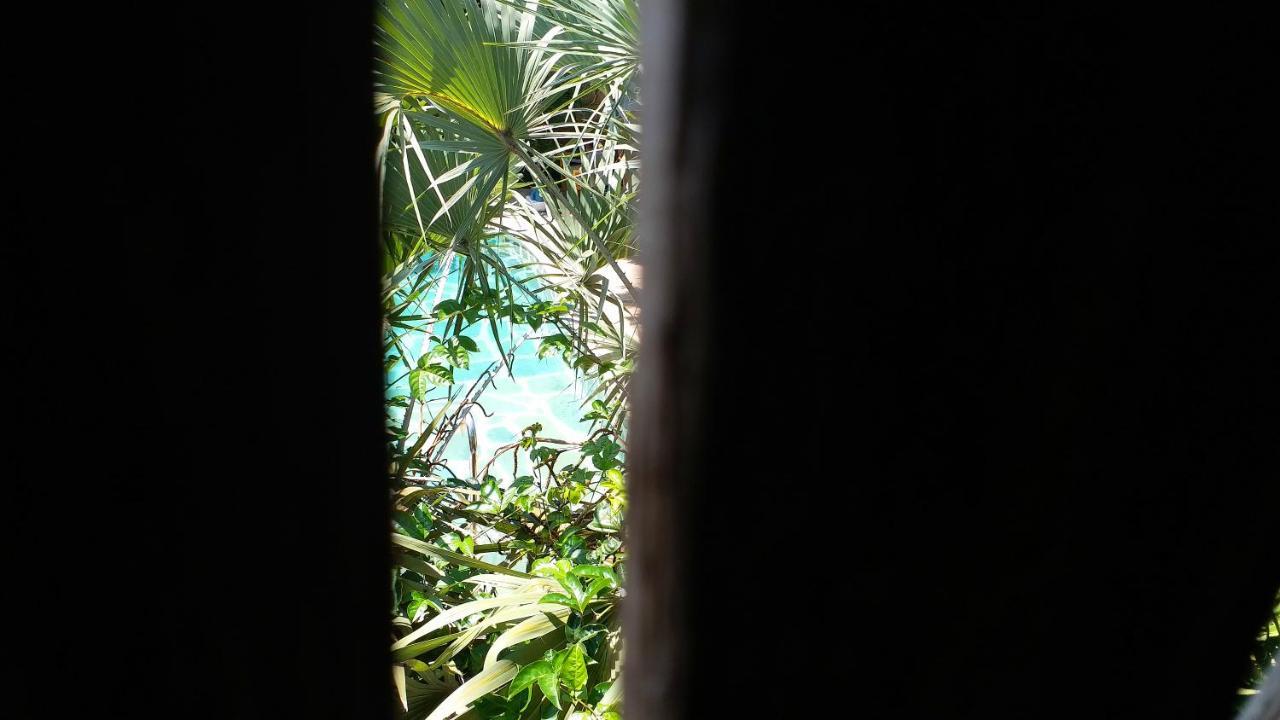 Diani Hostel Diani Beach Ngoại thất bức ảnh